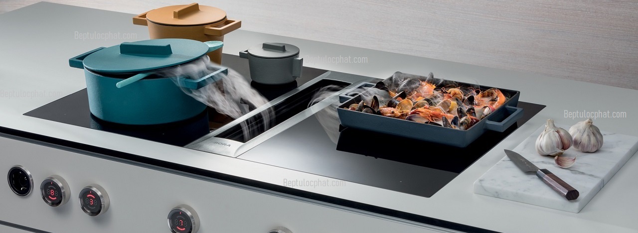 Bếp Từ Lộc Phát - Bếp Điện Từ